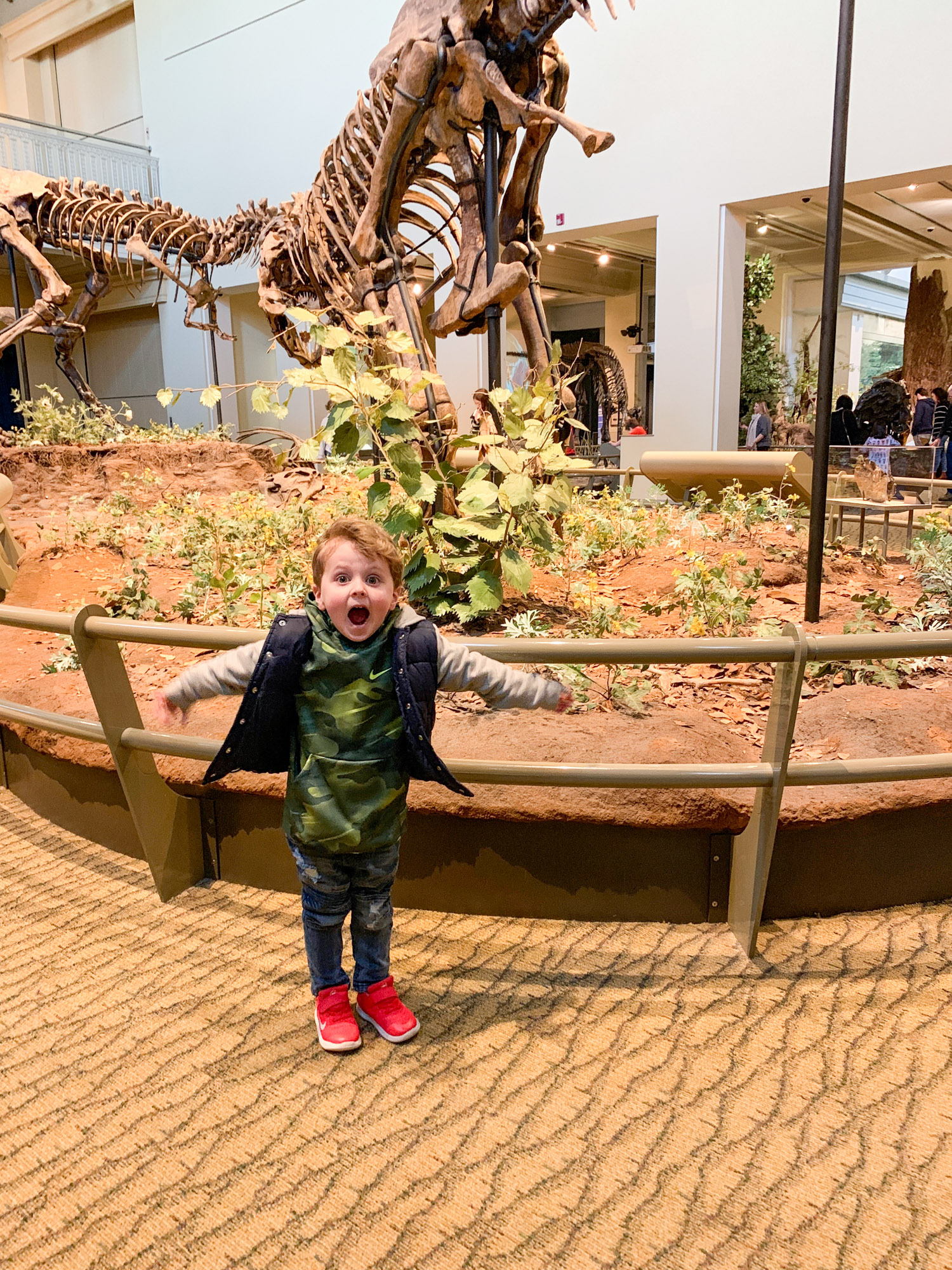 on life lately I howsweeteats.com