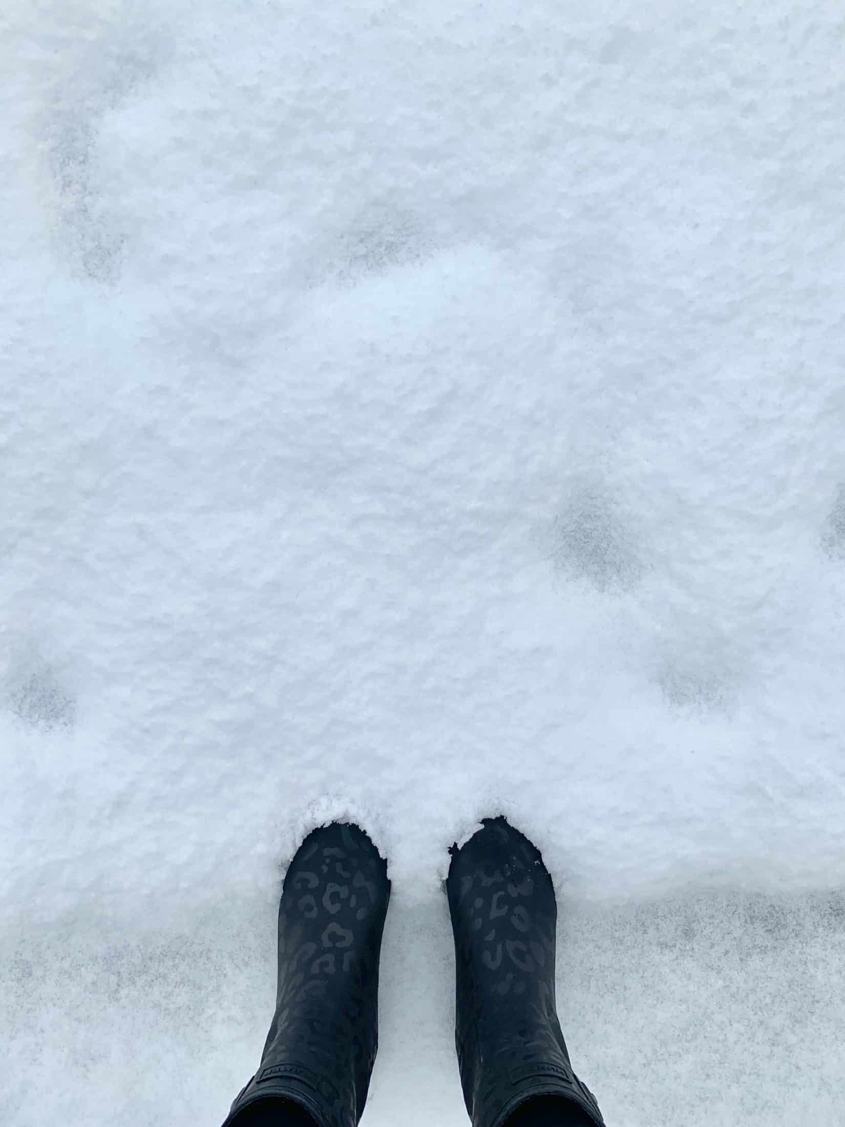 on life lately I howsweeteats.com