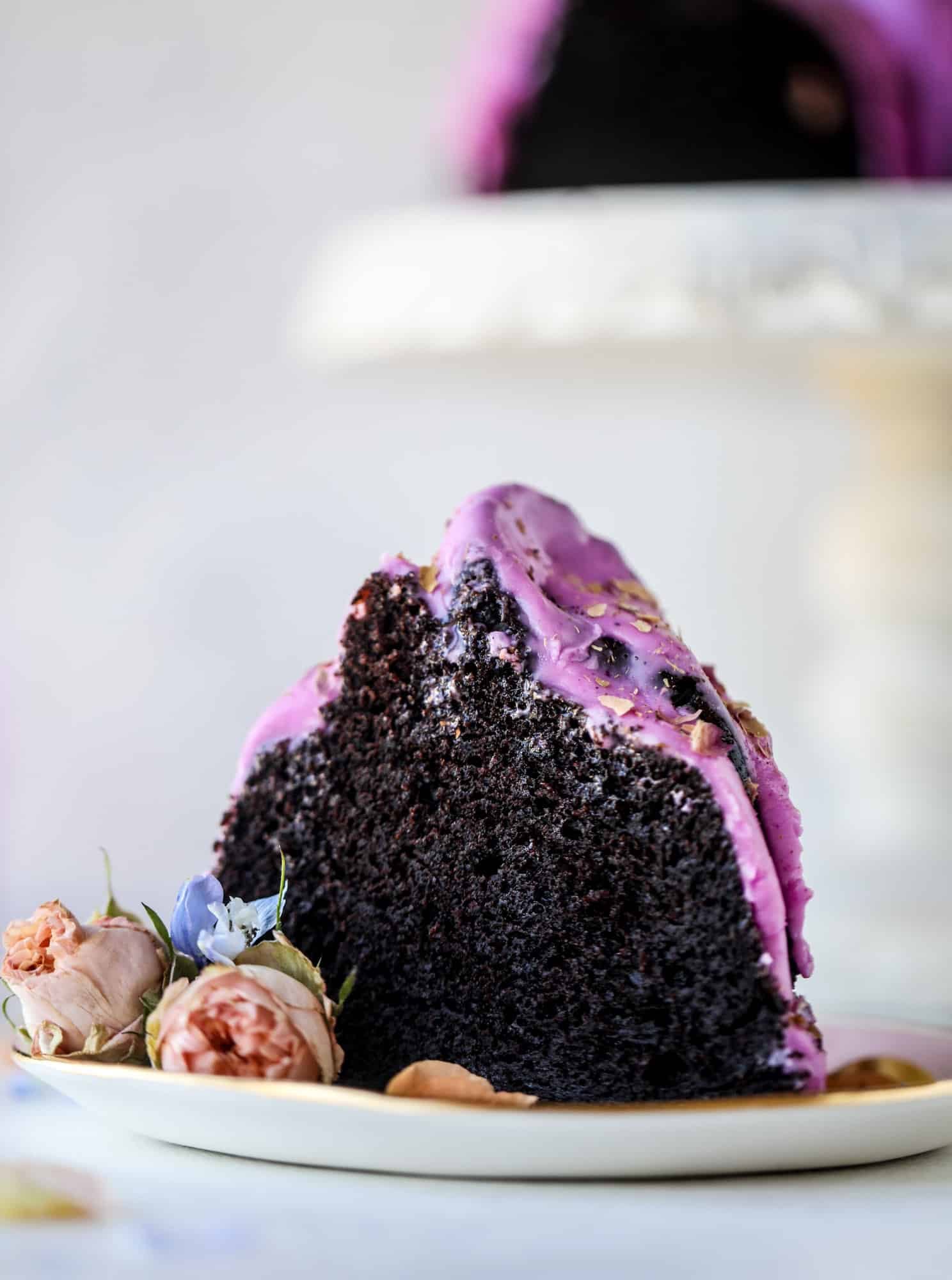 chocolate dragon fruit cake slice