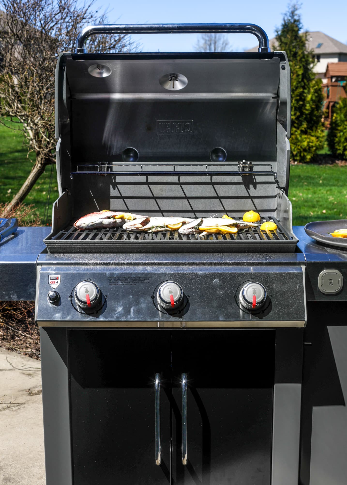 The Home Depot Weber Genesis II E315 grill