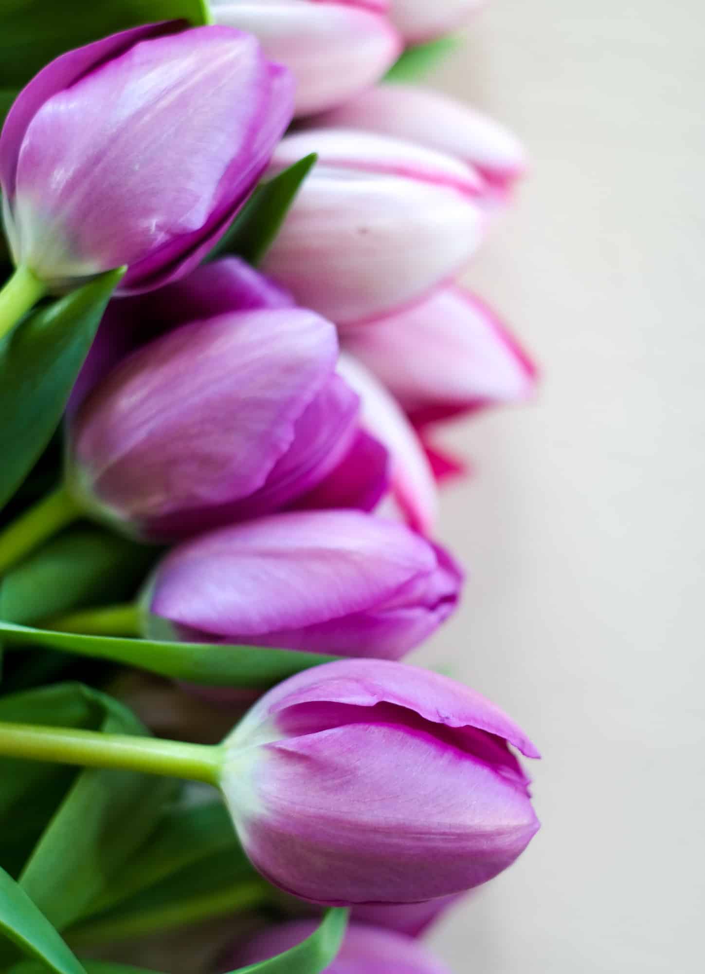 currently crushing on