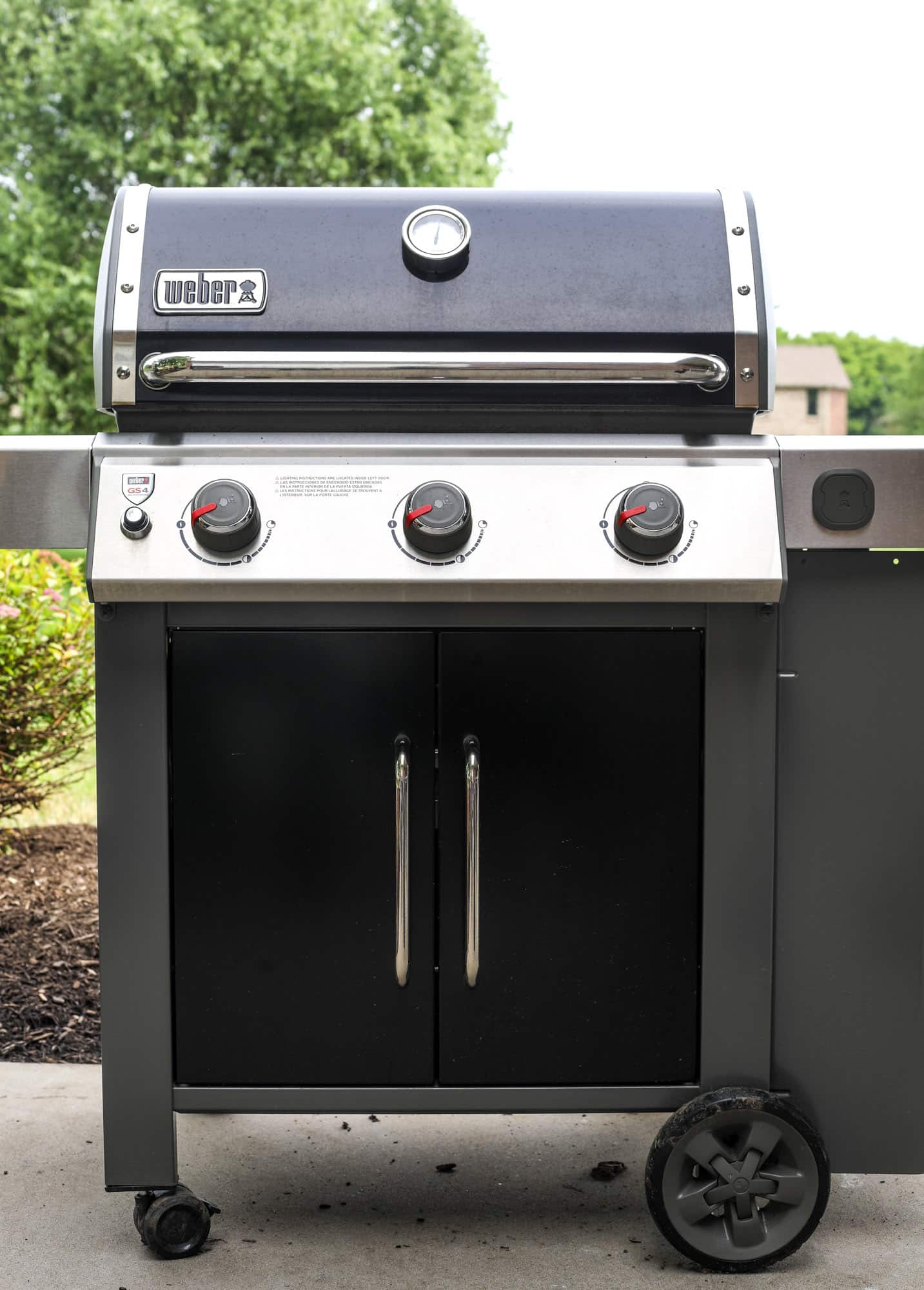 weber genesis II grill