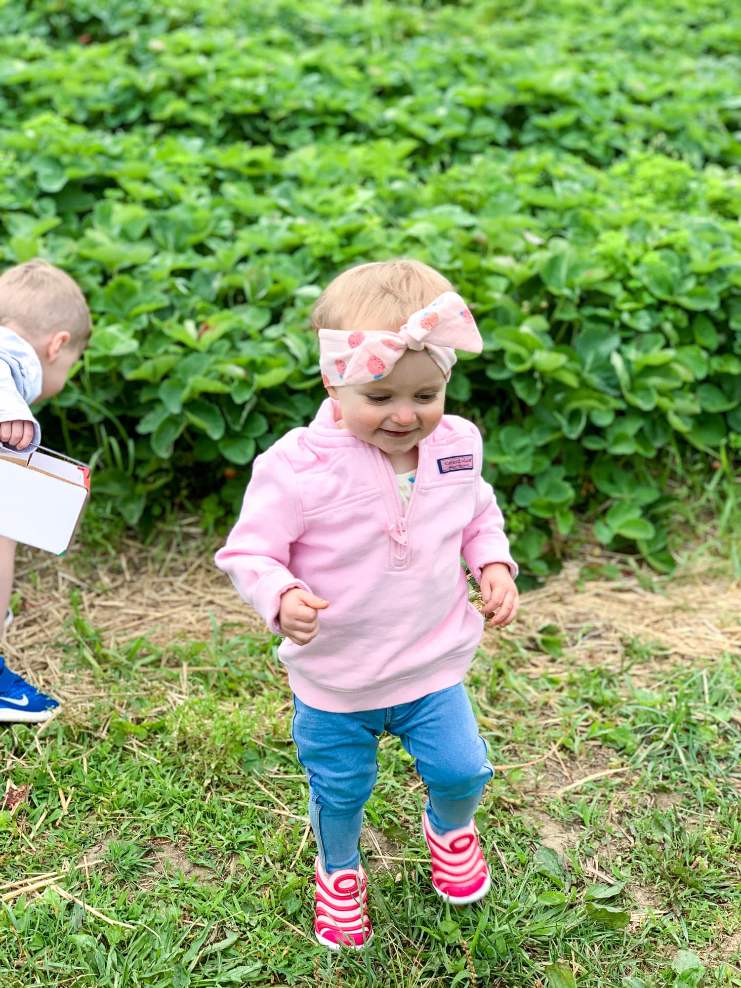 strawberry picking photo diary