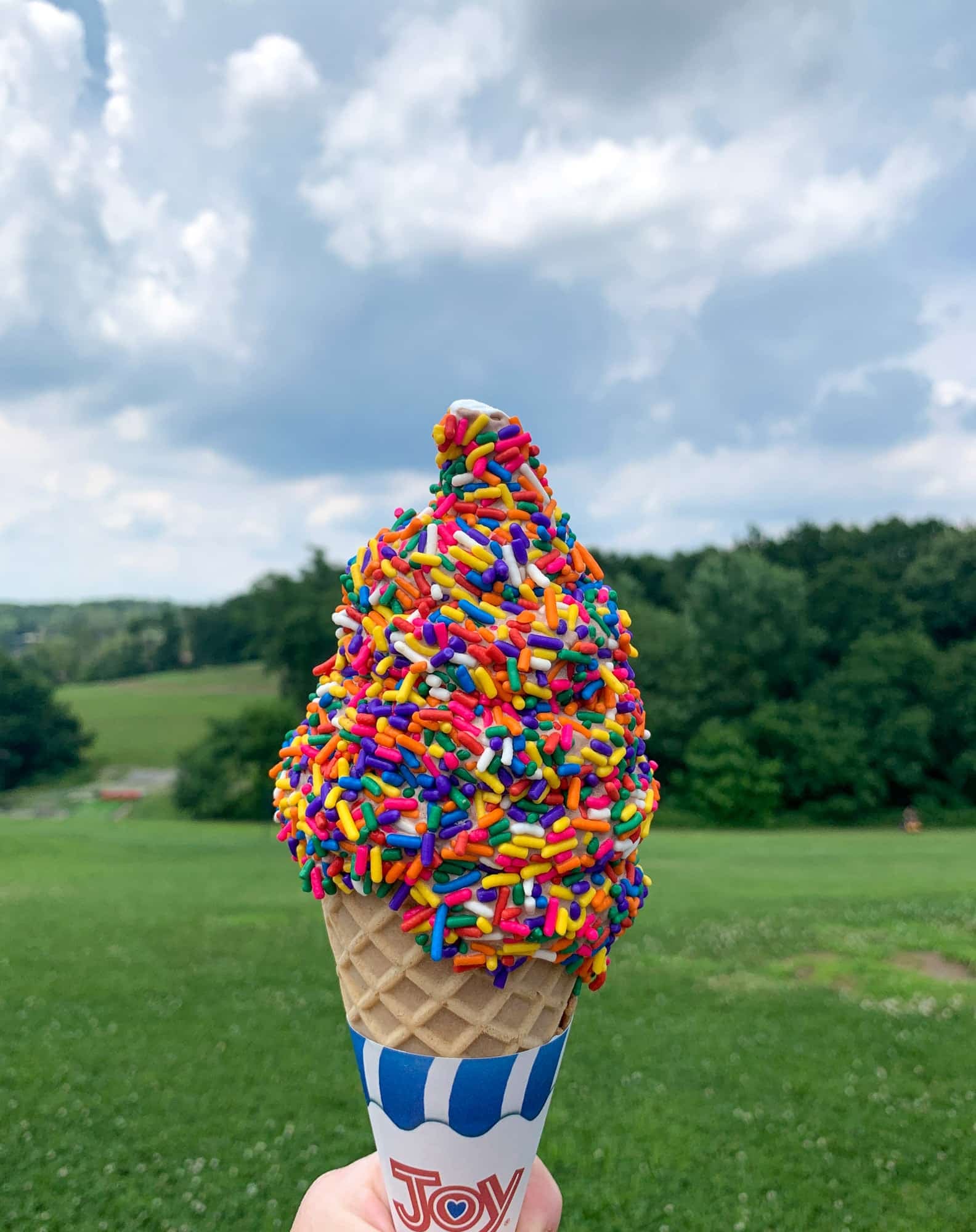 4th of july weekend I howsweeteats