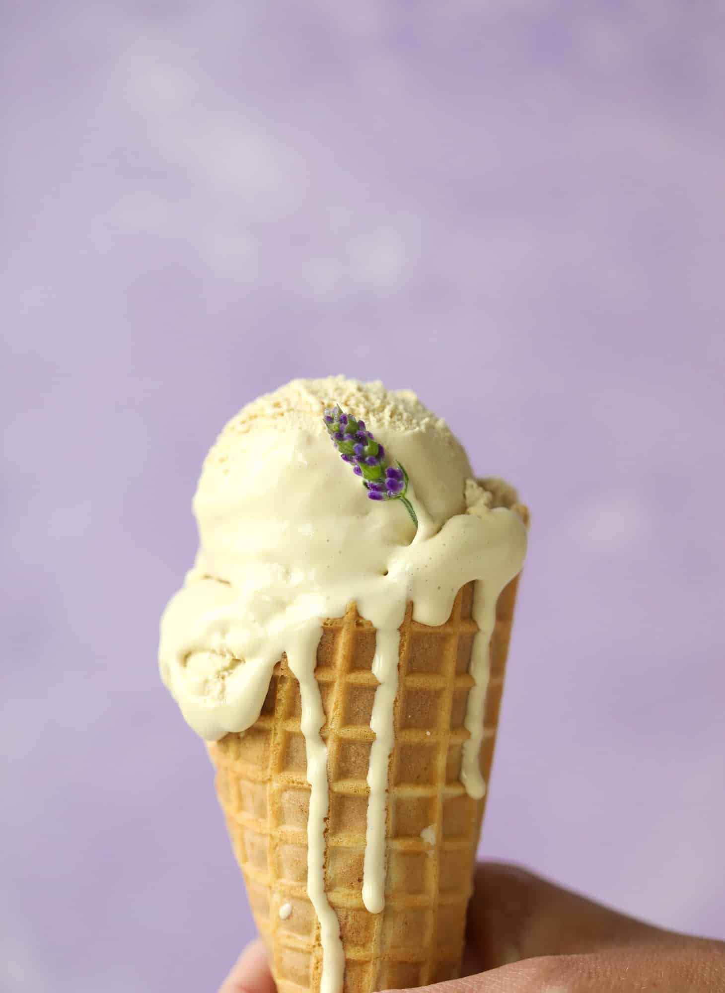 This lavender coffee ice cream is my favorite morning drink in dessert form! Fresh lavender, vanilla and a whole bunch of spices make this incredible.