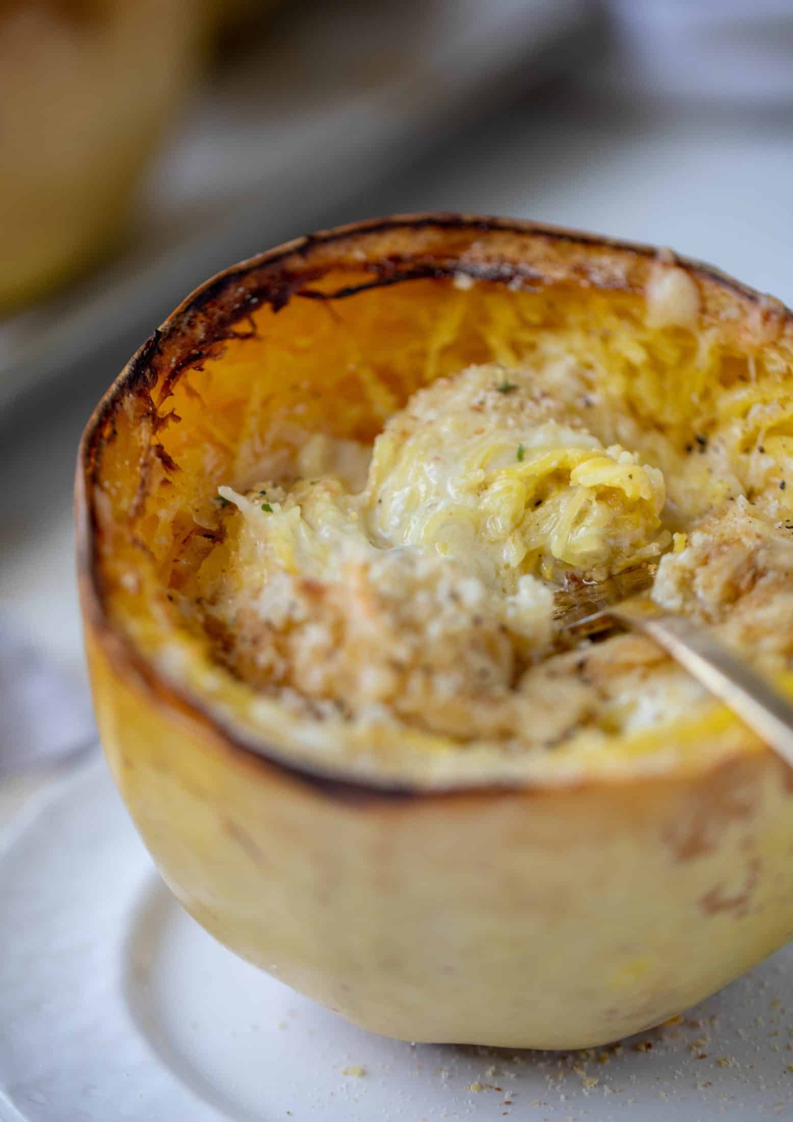Three cheese spaghetti squash in a squash bowl! Squash tossed with fontina, gruyere and parmesan to make a creamy comforting meal.