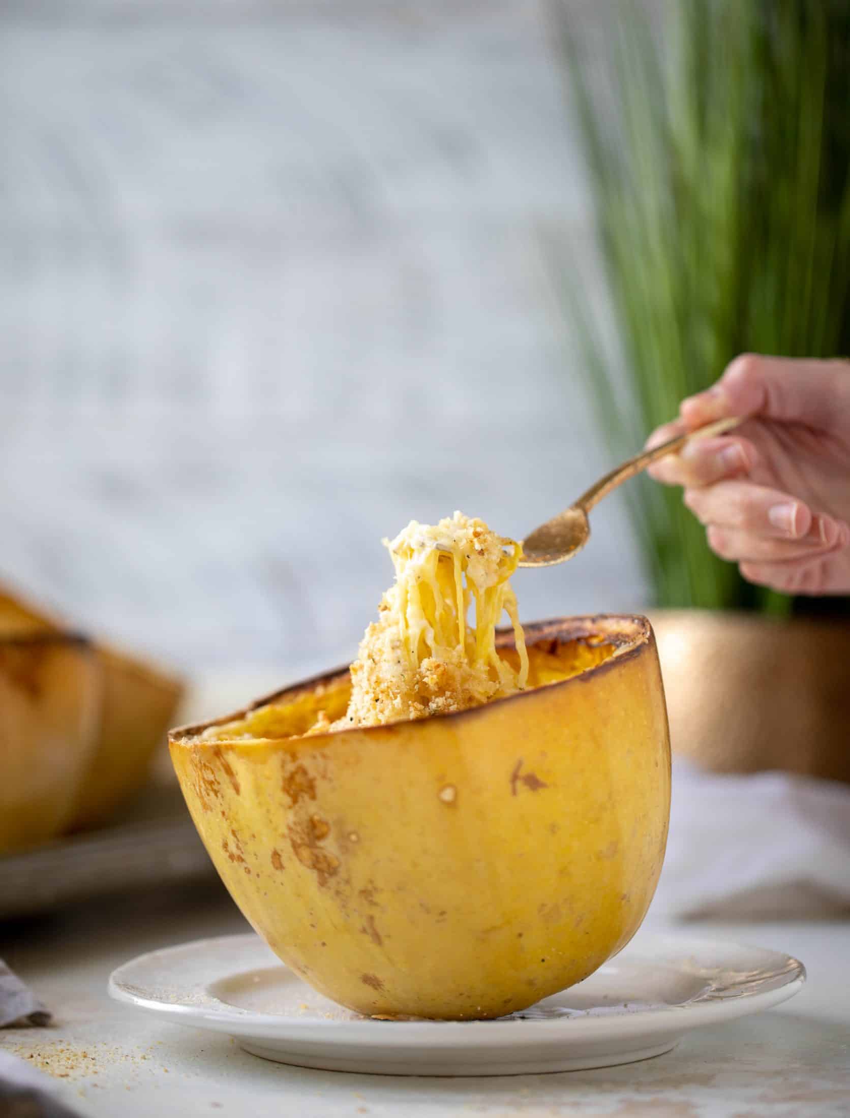 Three cheese spaghetti squash in a squash bowl! Squash tossed with fontina, gruyere and parmesan to make a creamy comforting meal.