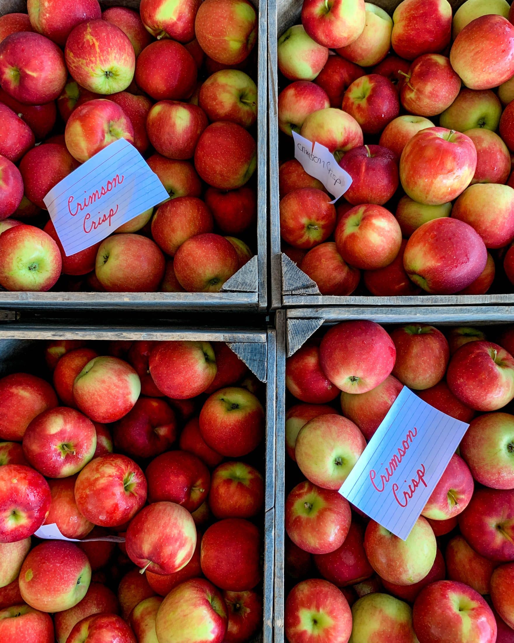 2019 apple picking photo diary I howsweeteats