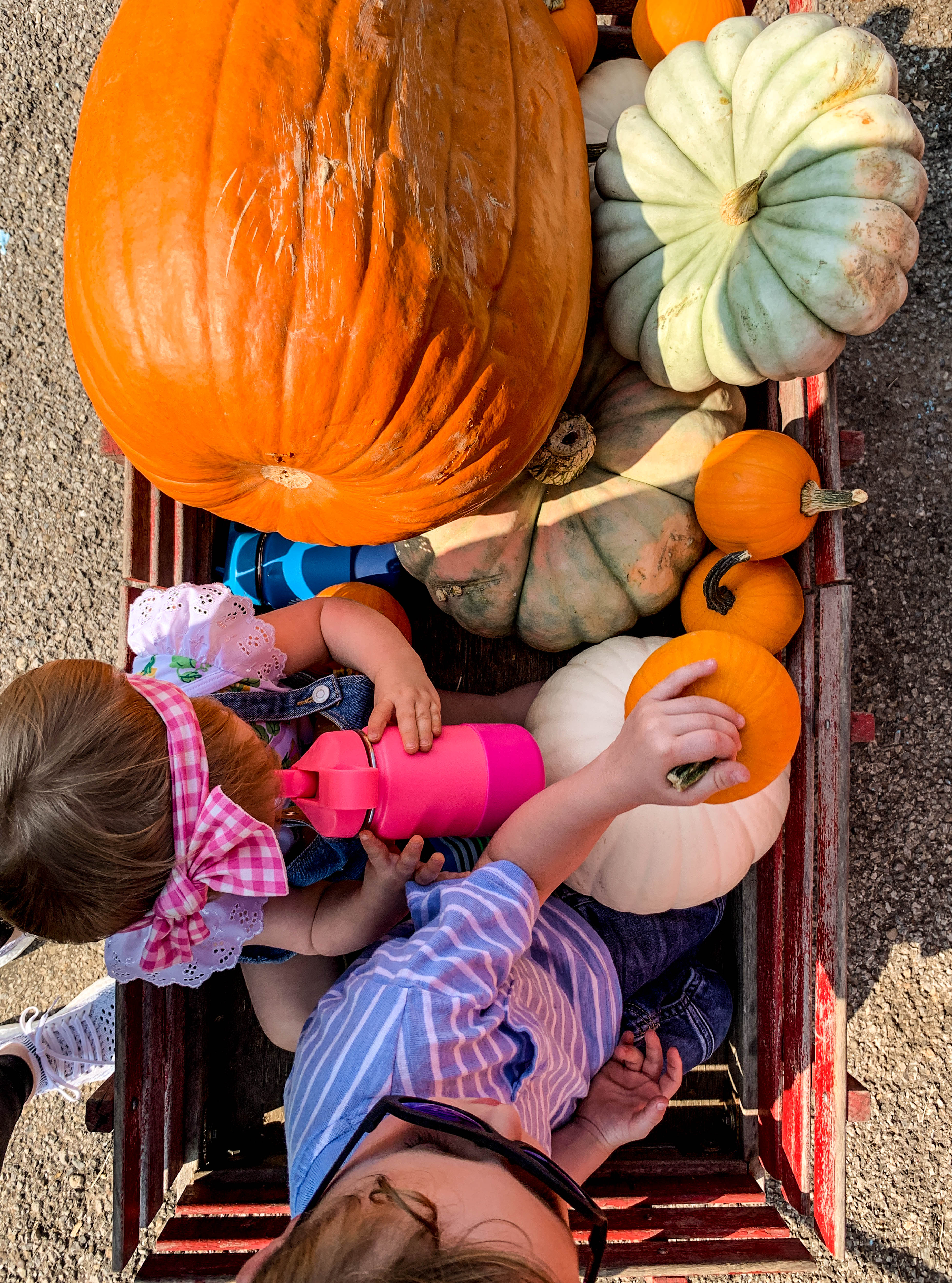 2019 apple picking photo diary I howsweeteats