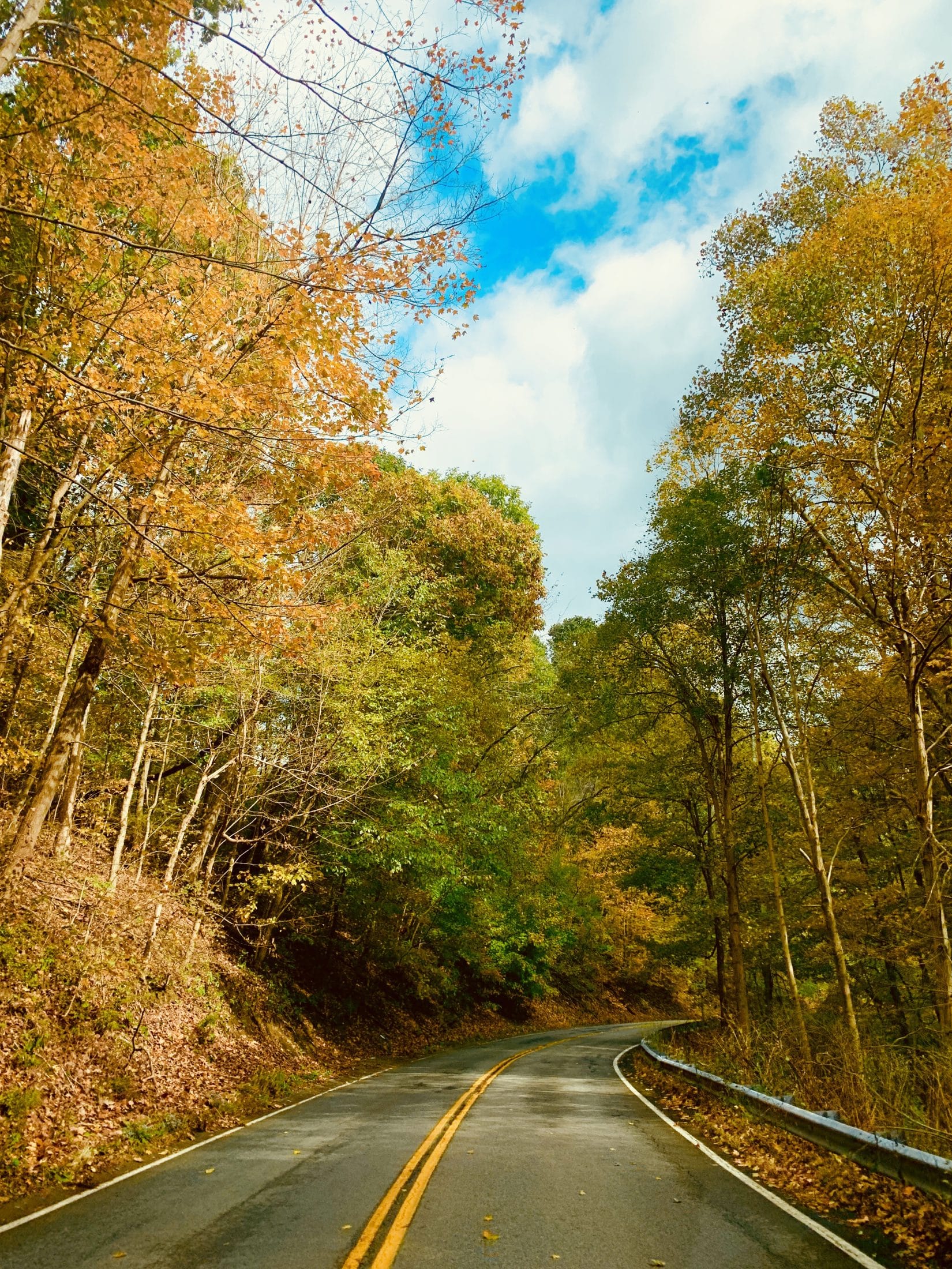 currently crushing on