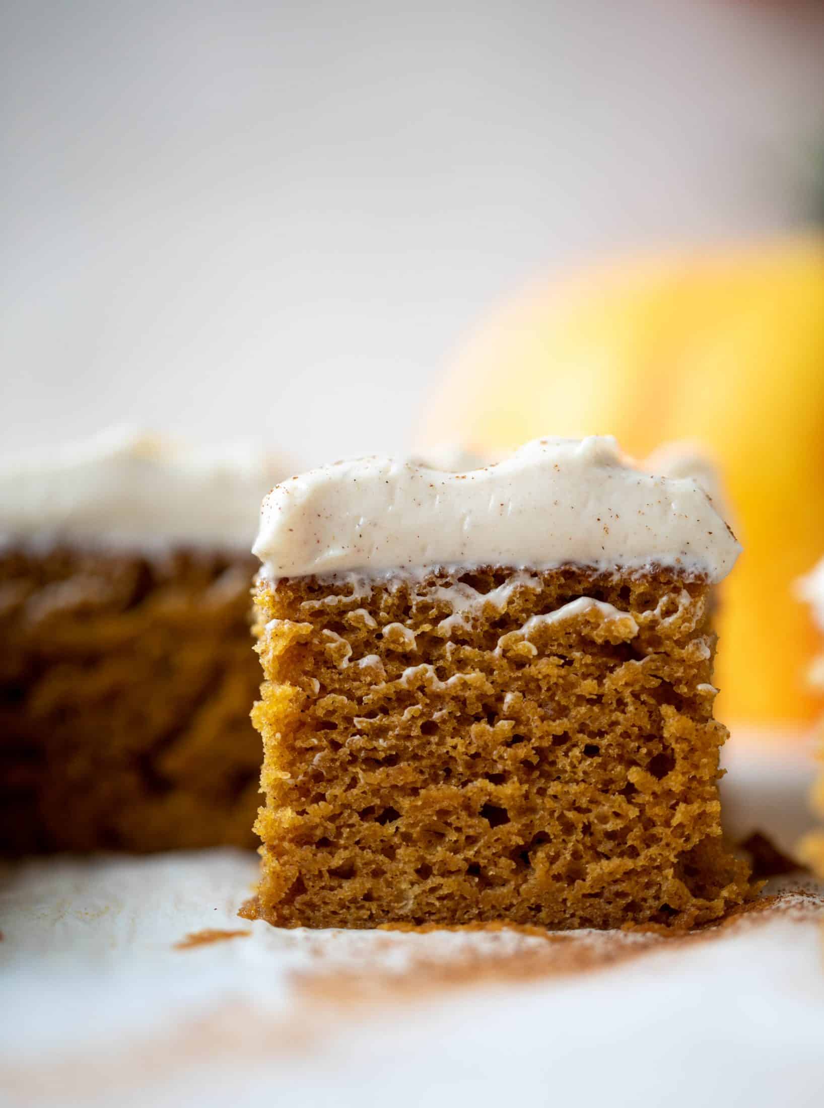 This pumpkin sheet cake is a legit pumpkin dream cake! It's so moist and fluffy and flavorful. With a blanket of cinnamon cream cheese frosting!