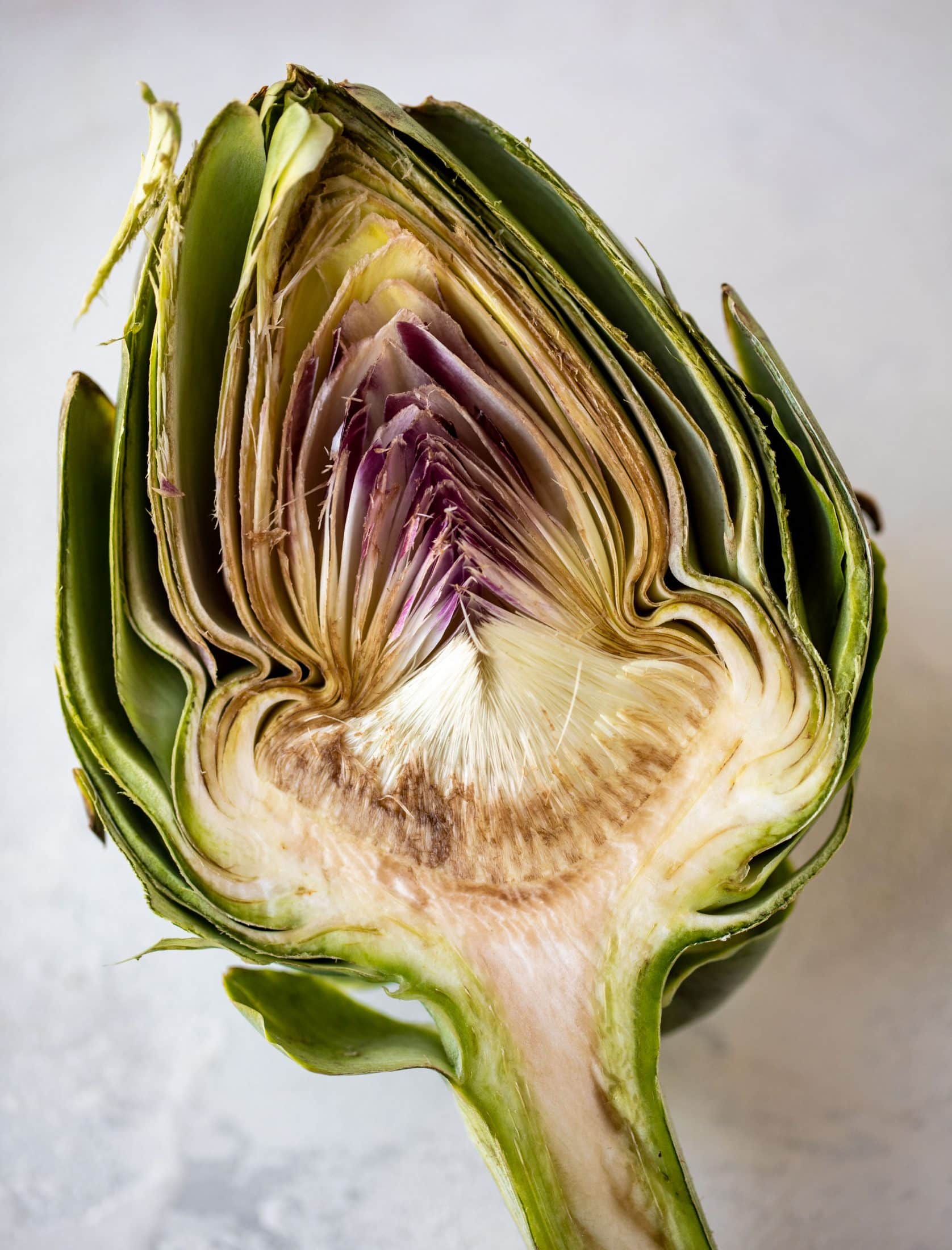 artichoke
