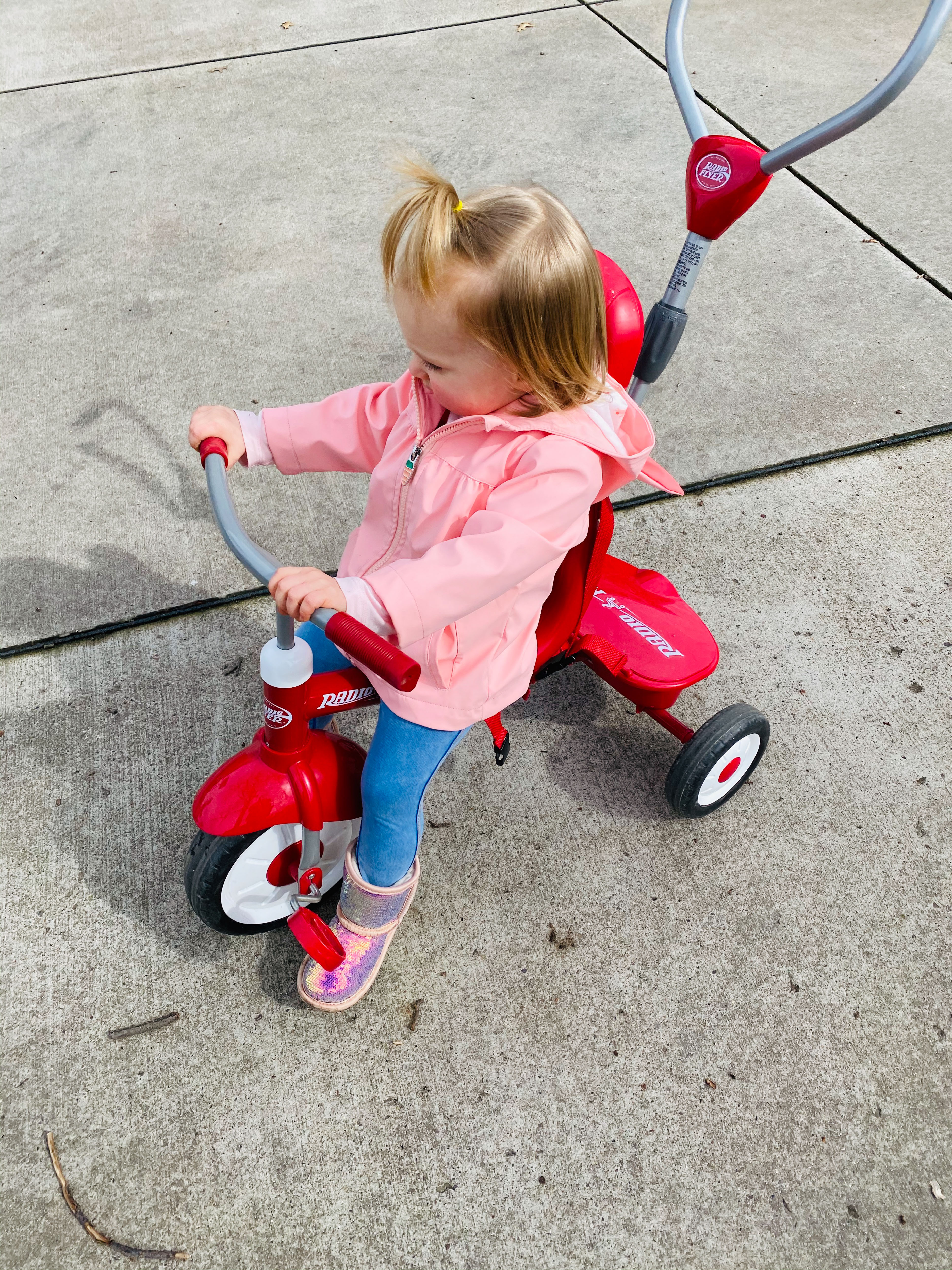 a week in the life, vol 12