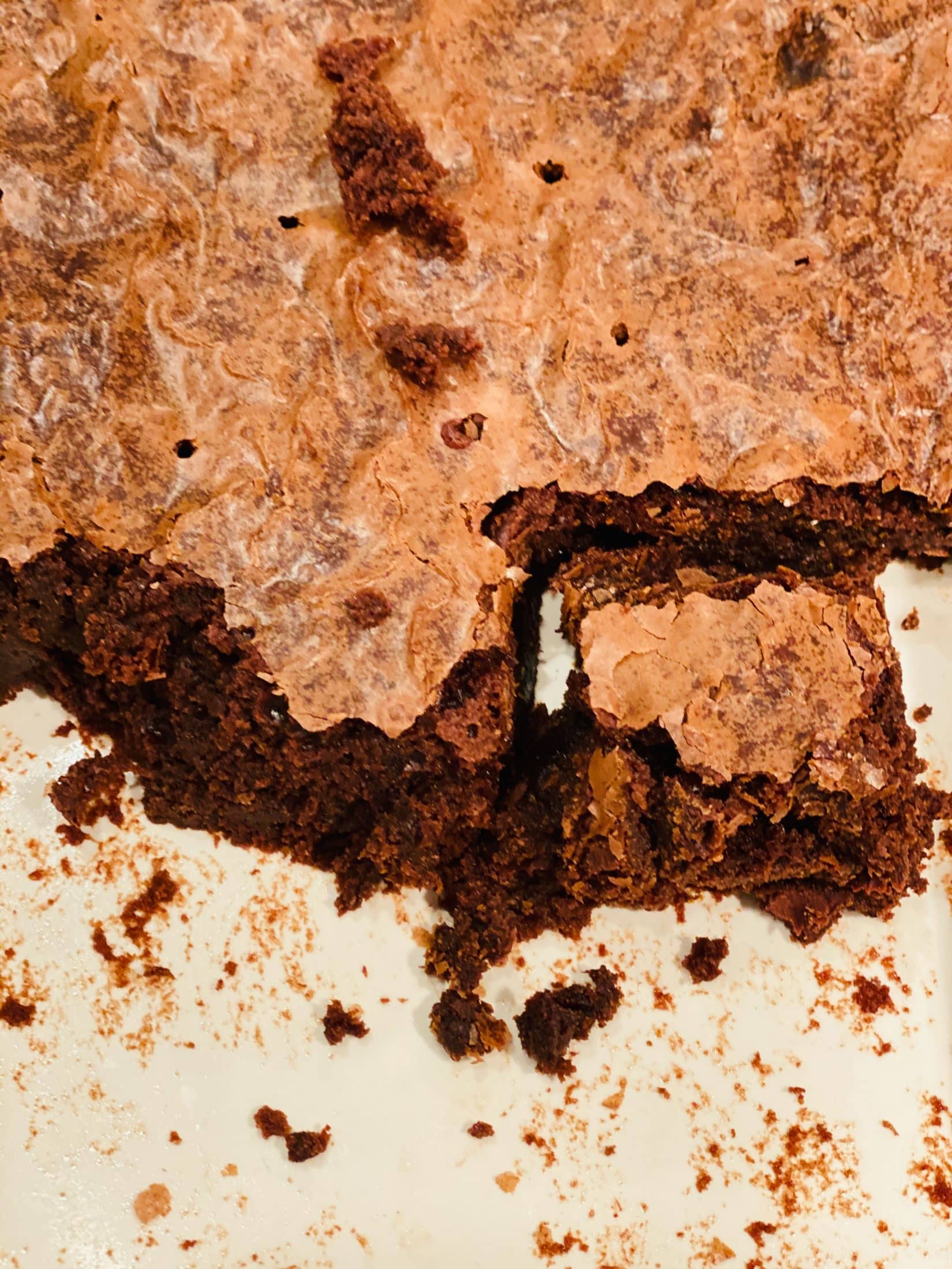 a week in the life, vol 12