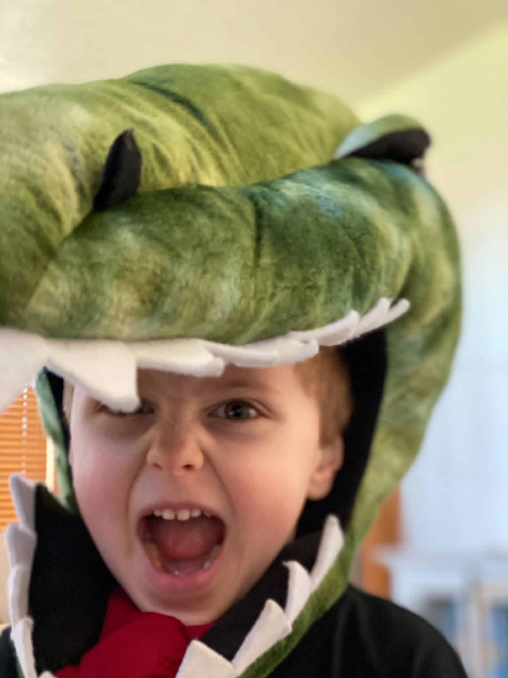 a week in the life, vol 12