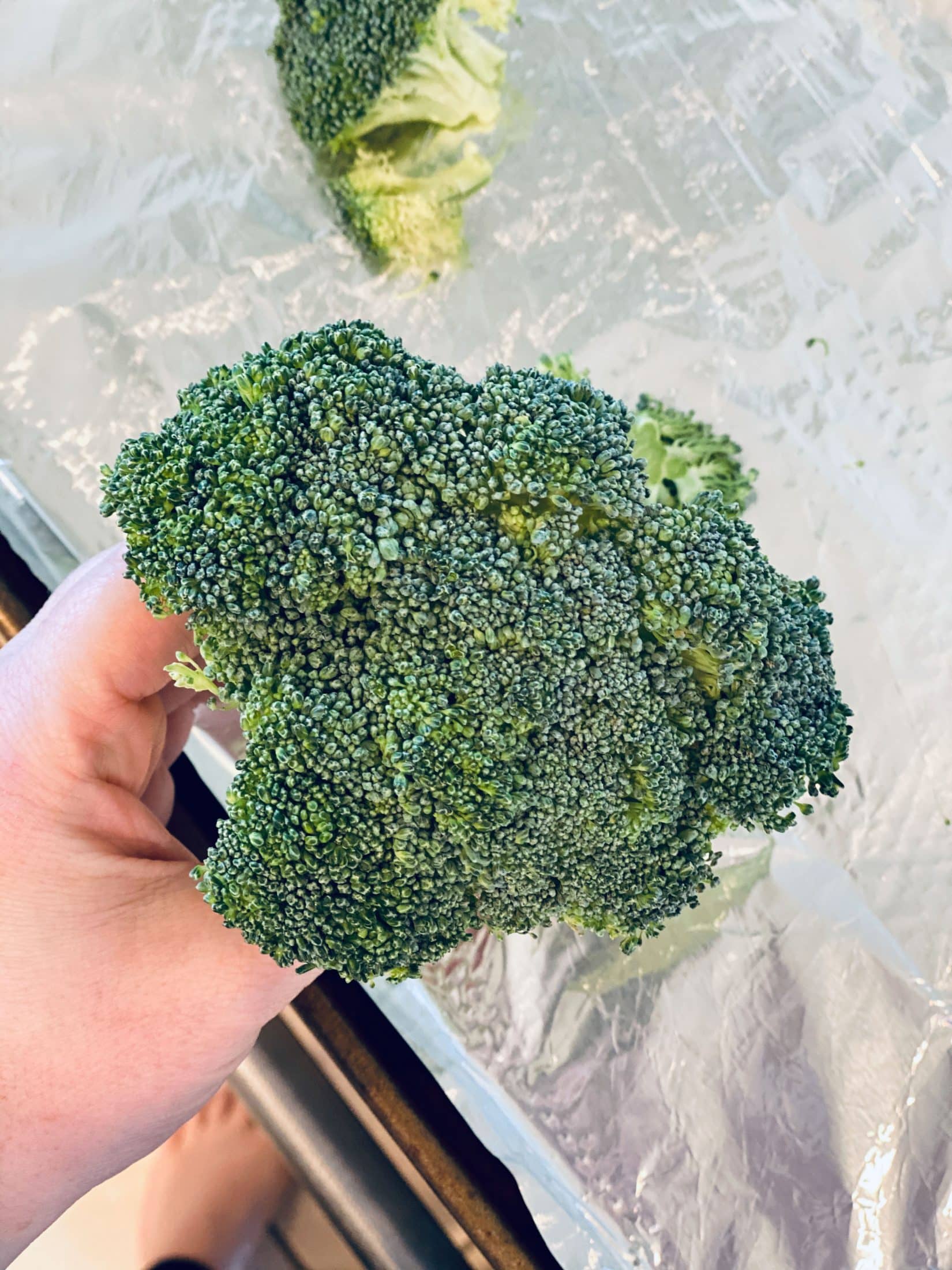 a week in the life, week 14