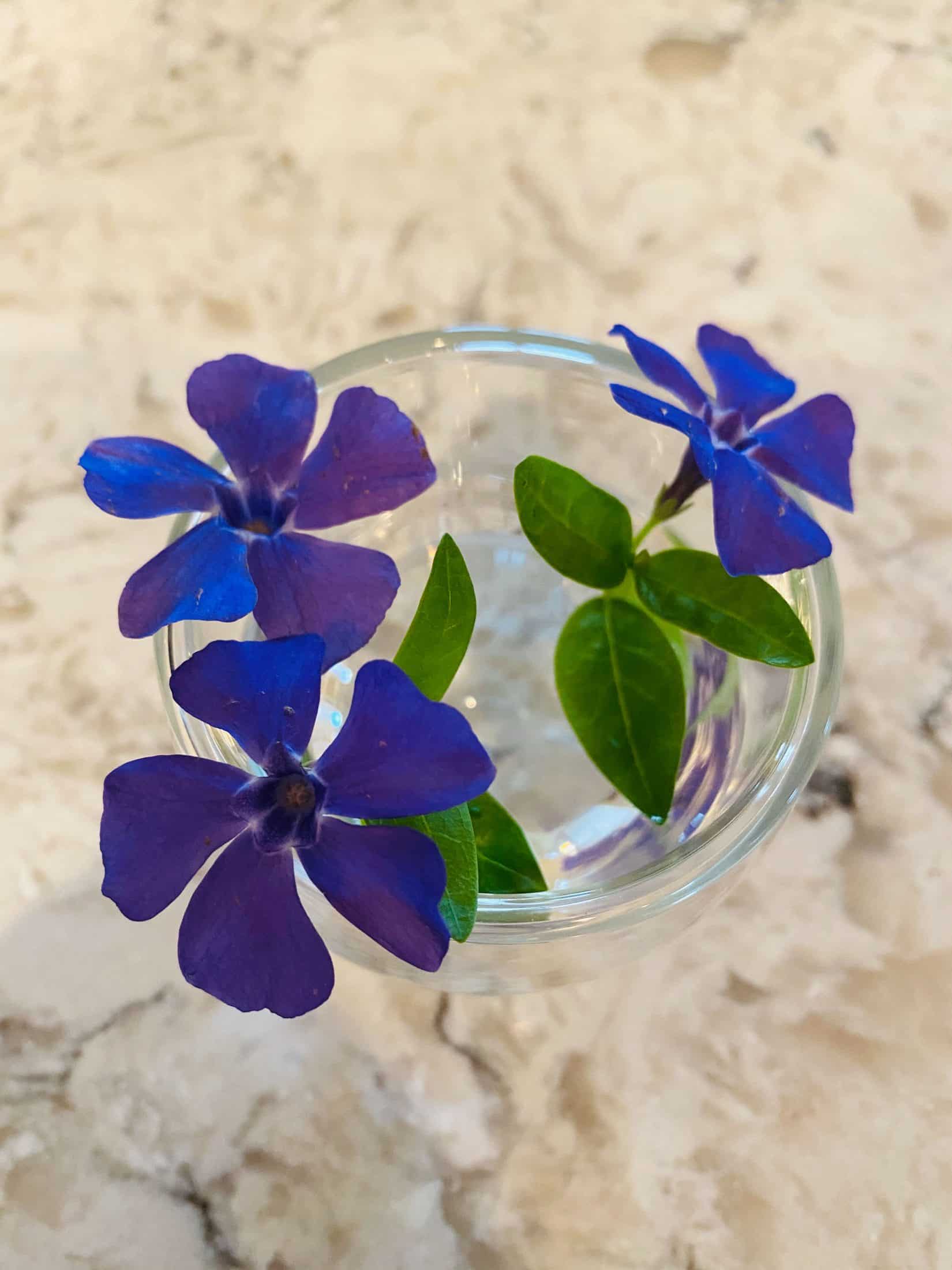 everyday life week 16