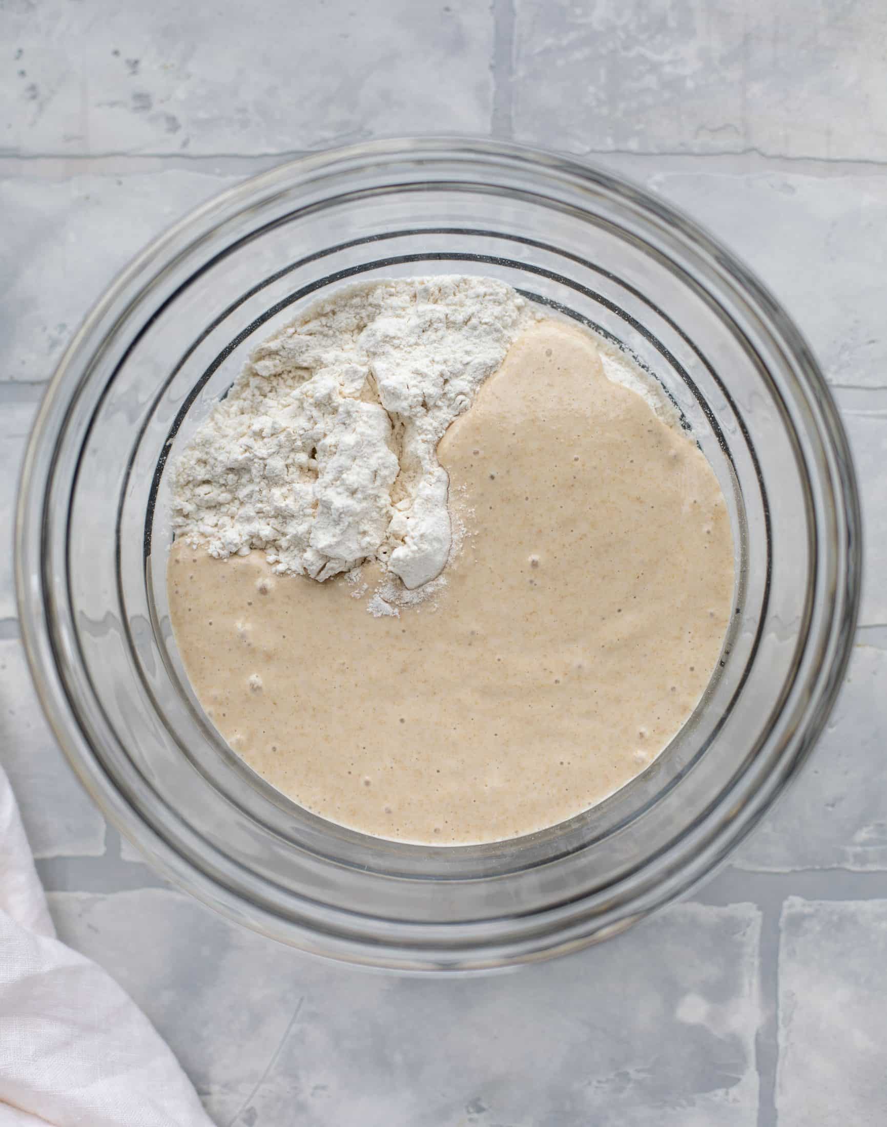 sourdough starter