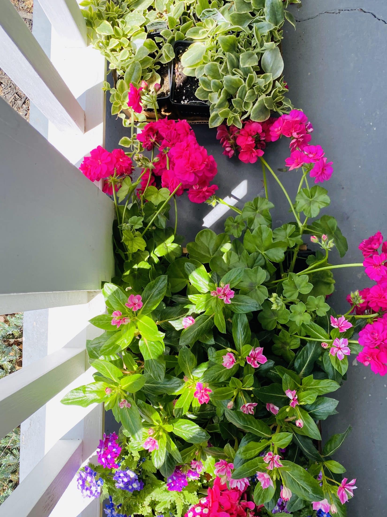 currently crushing on