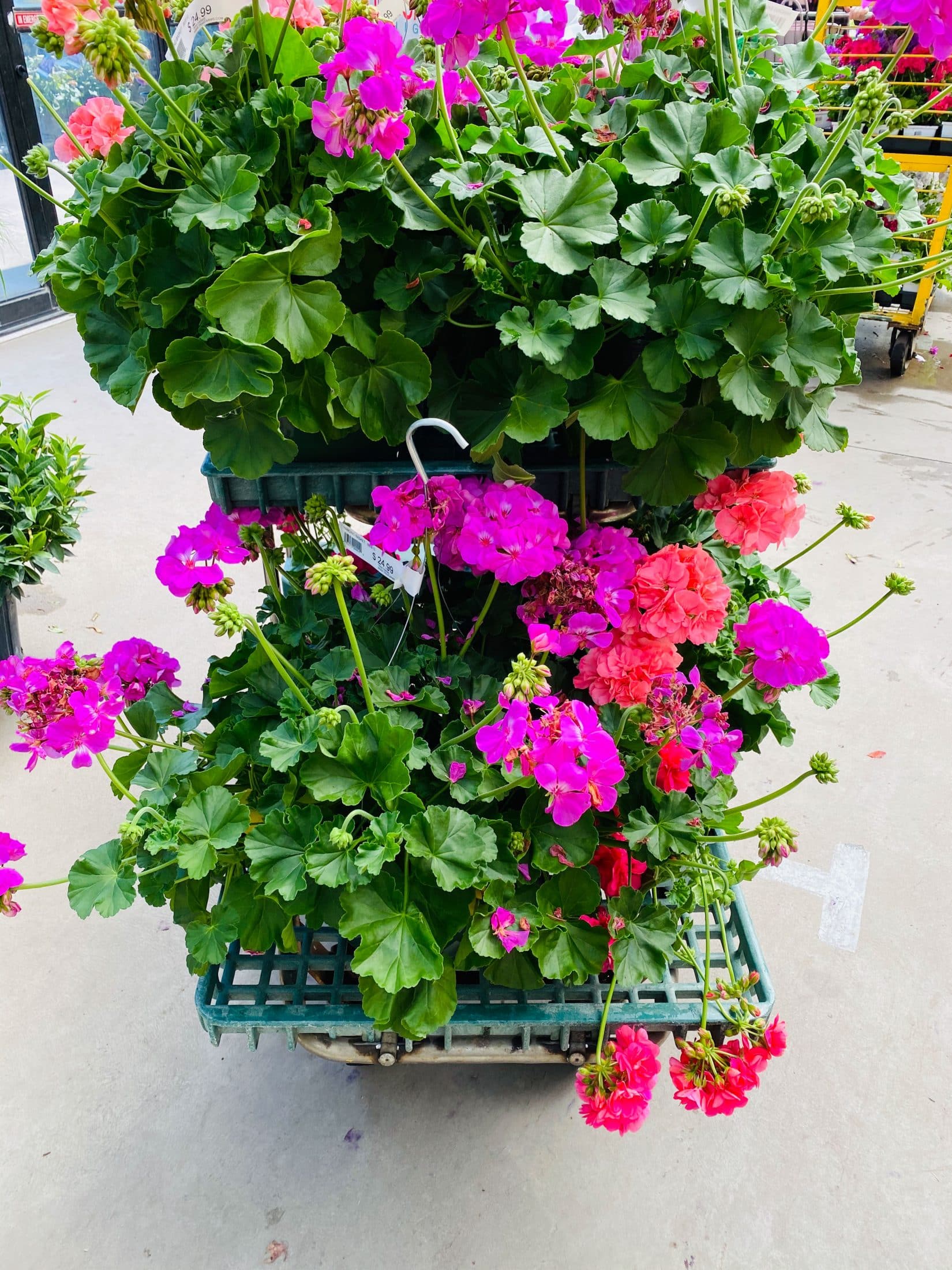 everyday life week 20