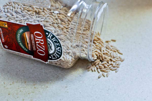 orzo-1