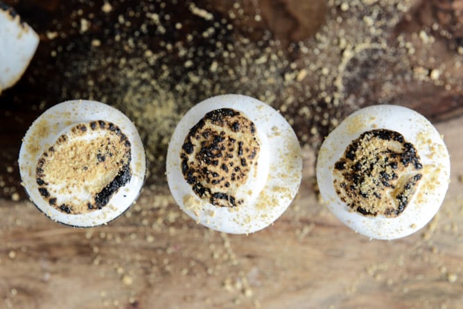 No Bake S'mores Cheesecakes I howsweeteats.com