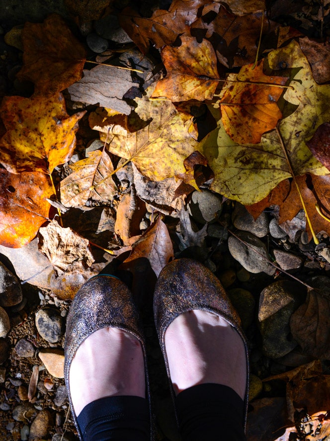 October Lifestyle Favorites I howsweeteats.com