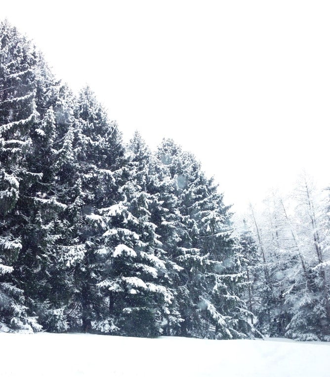 tuesday things I howsweeteats.com tuesday things I howsweeteats.com