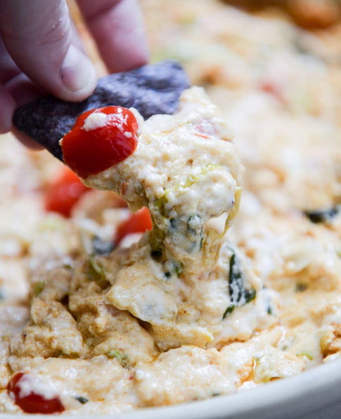 chicken enchilada dip I howsweeteats.com chicken enchilada dip I howsweeteats.com