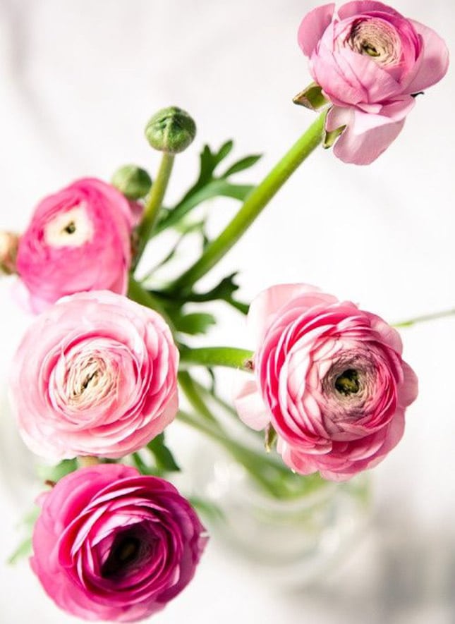 currently crushing on I howsweeteats.com