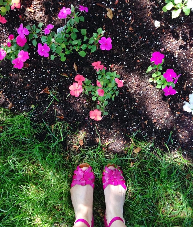 may favorites I howsweeteats.com