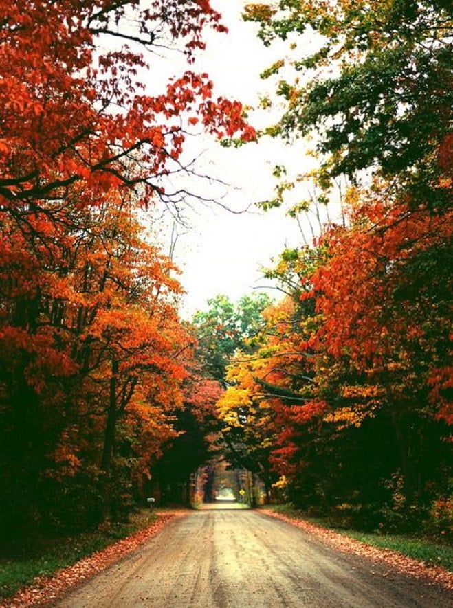 currently crushing on I howsweeteats.com