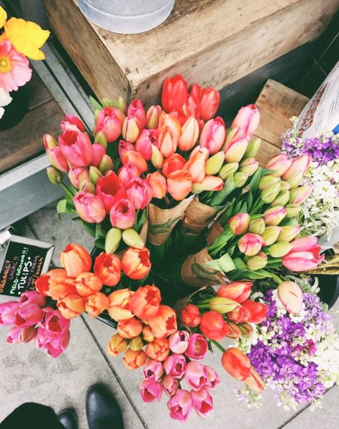 currently crushing on I howsweeteats.com