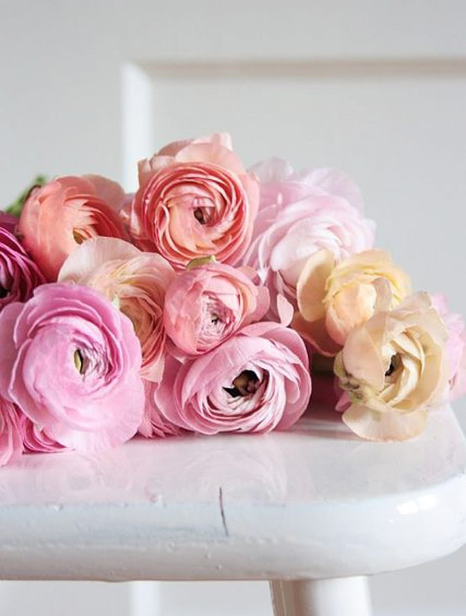 currently crushing on I howsweeteats.com