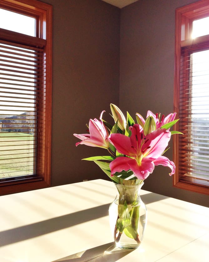 on life lately I howsweeteats.com