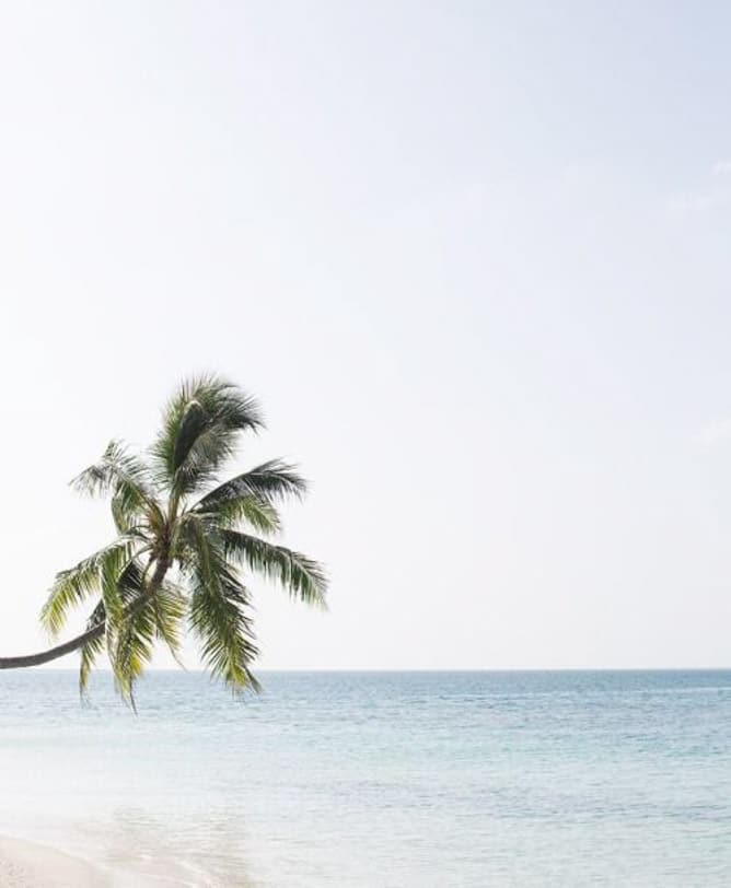 currently crushing on I howsweeteats.com