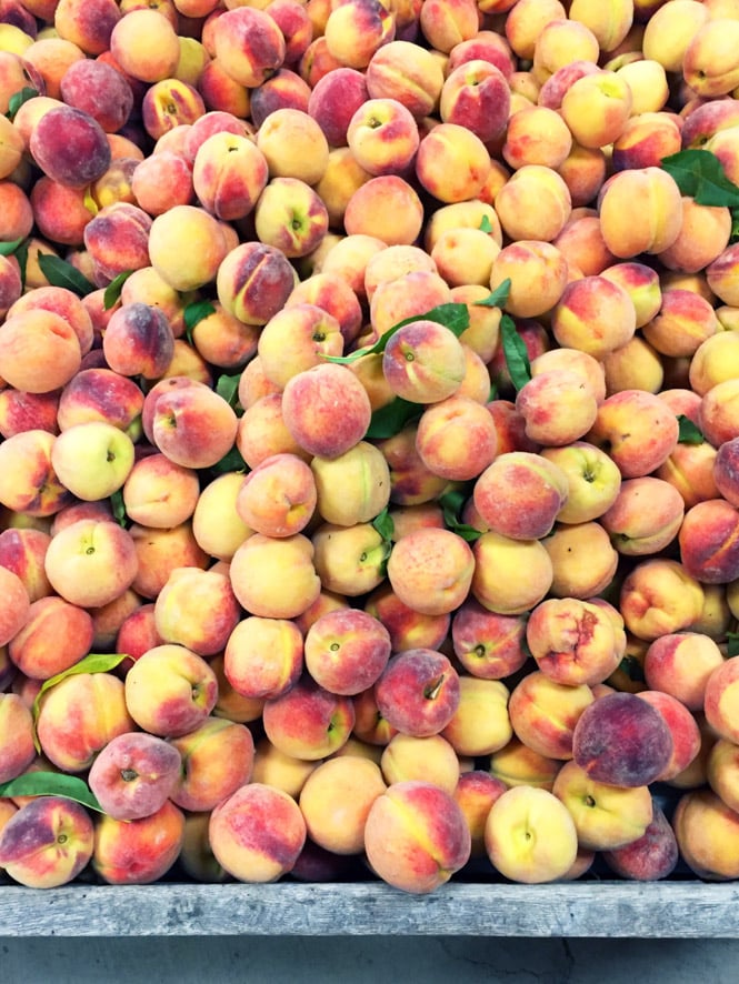 tuesday things I howsweeteats.com