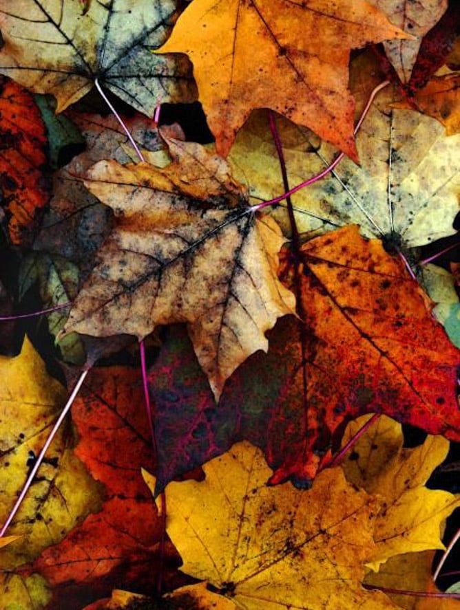 currently crushing on I howsweeteats.com