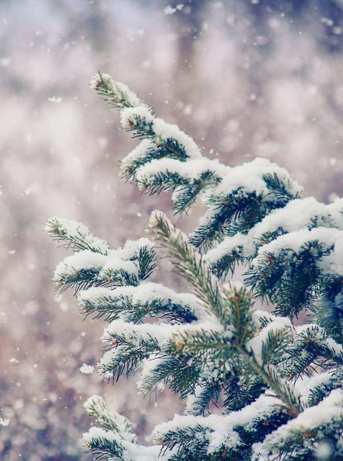 currently crushing on I howsweeteats.com