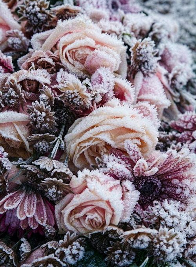 currently crushing on I howsweeteats.com