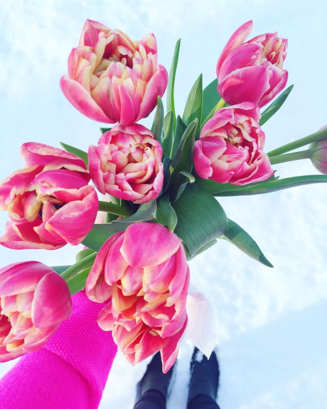 tuesday things I howsweeteats.com