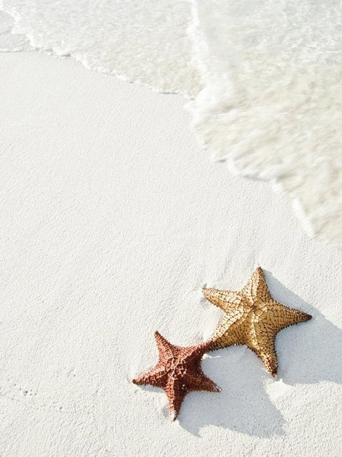 currently crushing on I howsweeteats.com