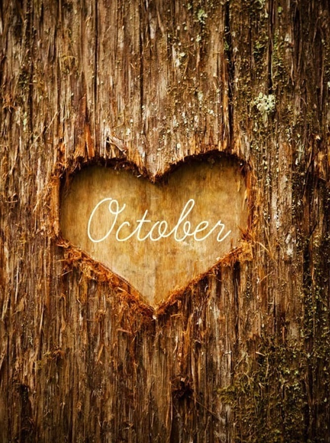 currently crushing on I howsweeteats.com