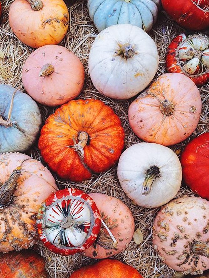 currently crushing on I howsweeteats.com