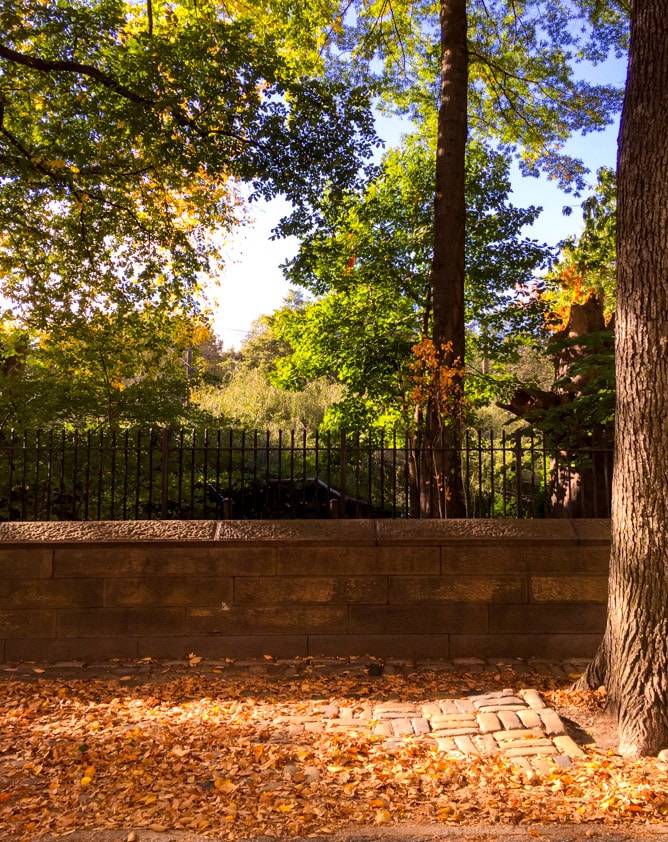 currently crushing on I howsweeteats.com