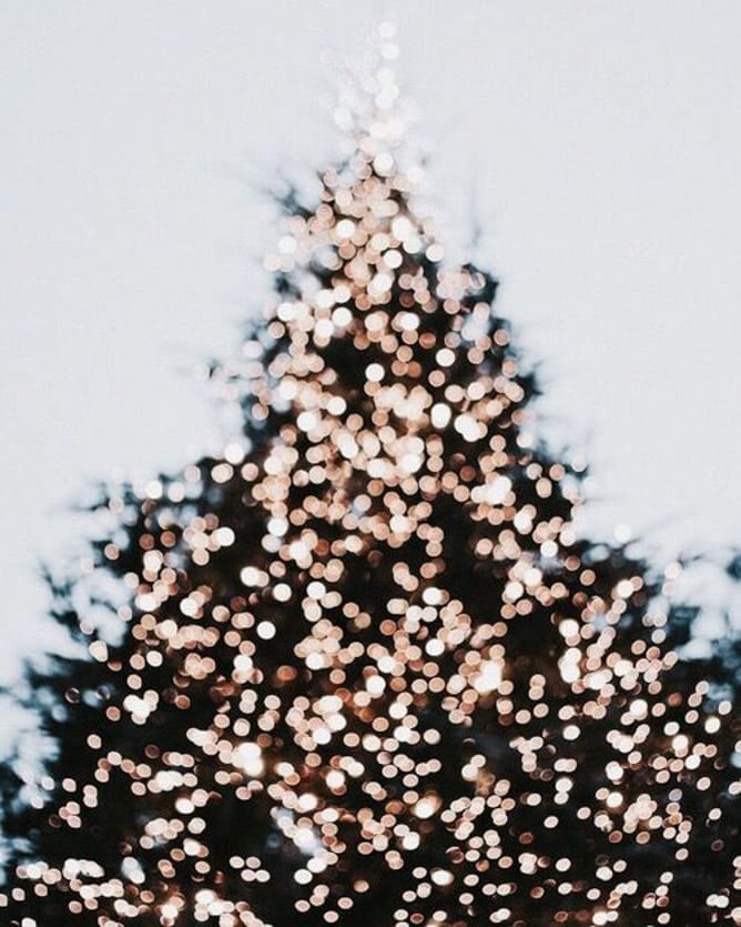 currently crushing on I howsweeteats.com 