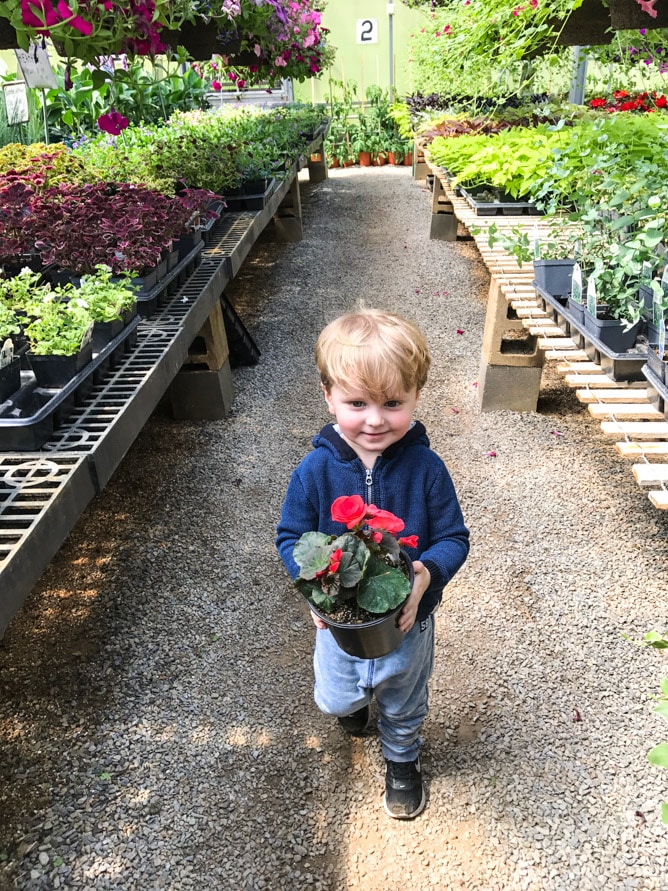 life with max at 2.5 years old I howsweeteats.com