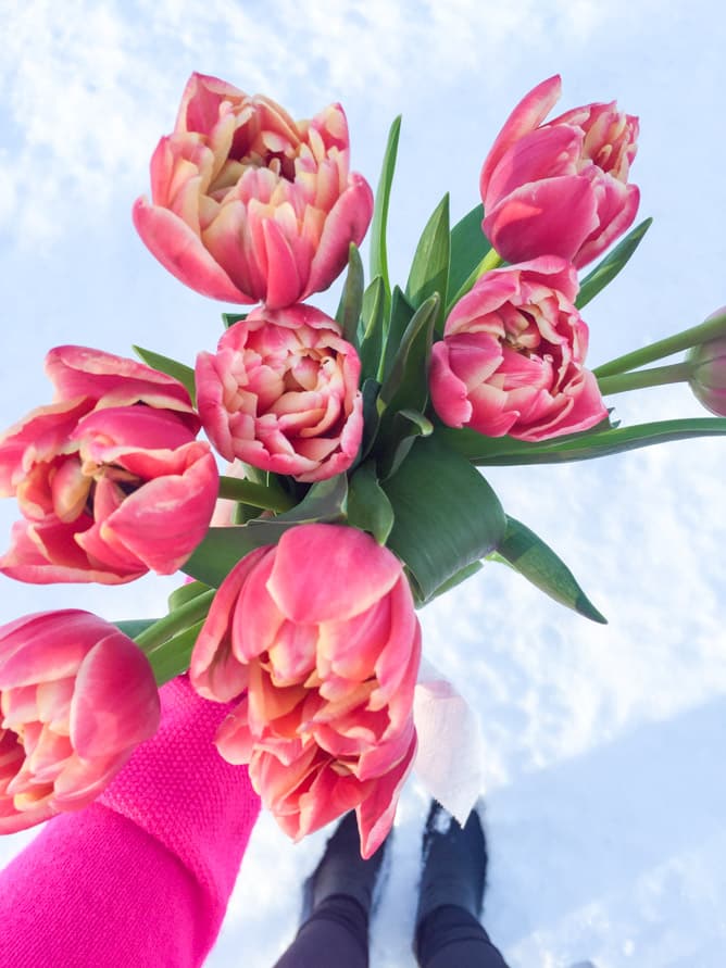 currently crushing on I howsweeteats.com 