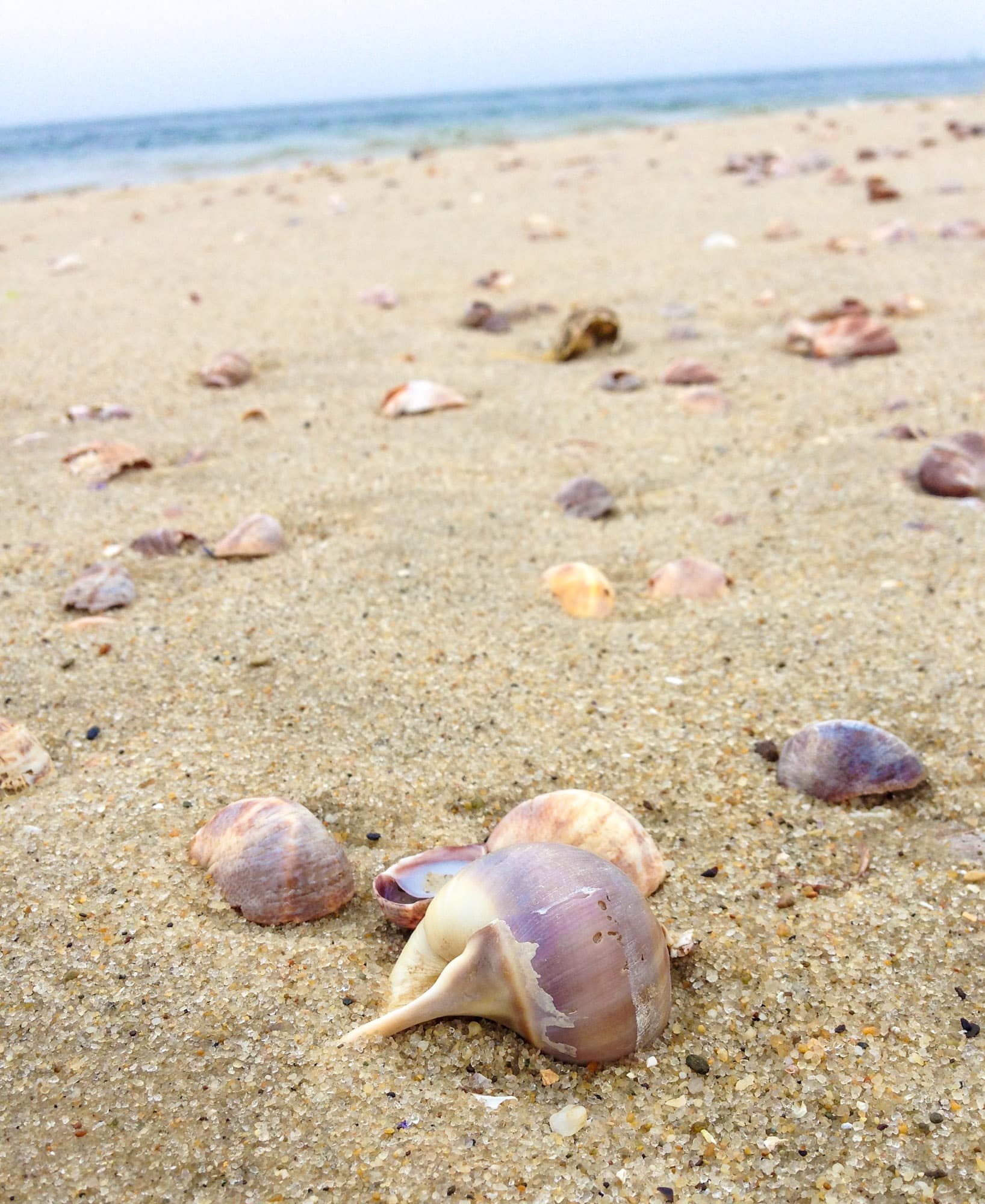 currently crushing on I howsweeteats.com