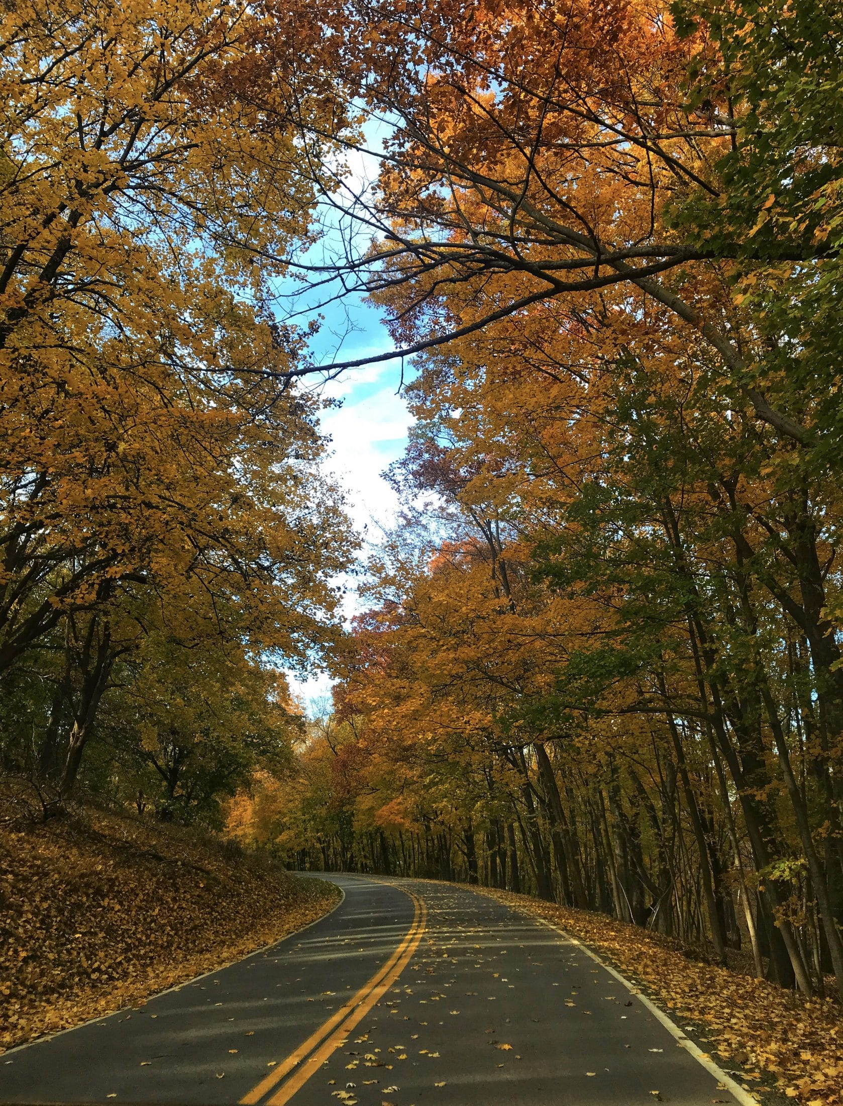 currently crushing on I howsweeteats.com